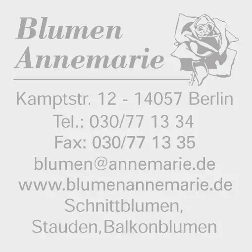 Stempel Printer Q43