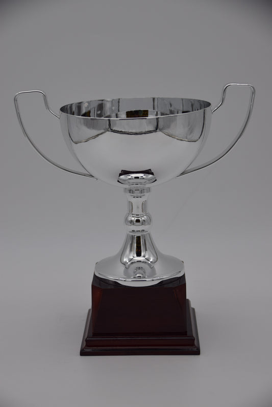 Silber Schale "Triumph"
