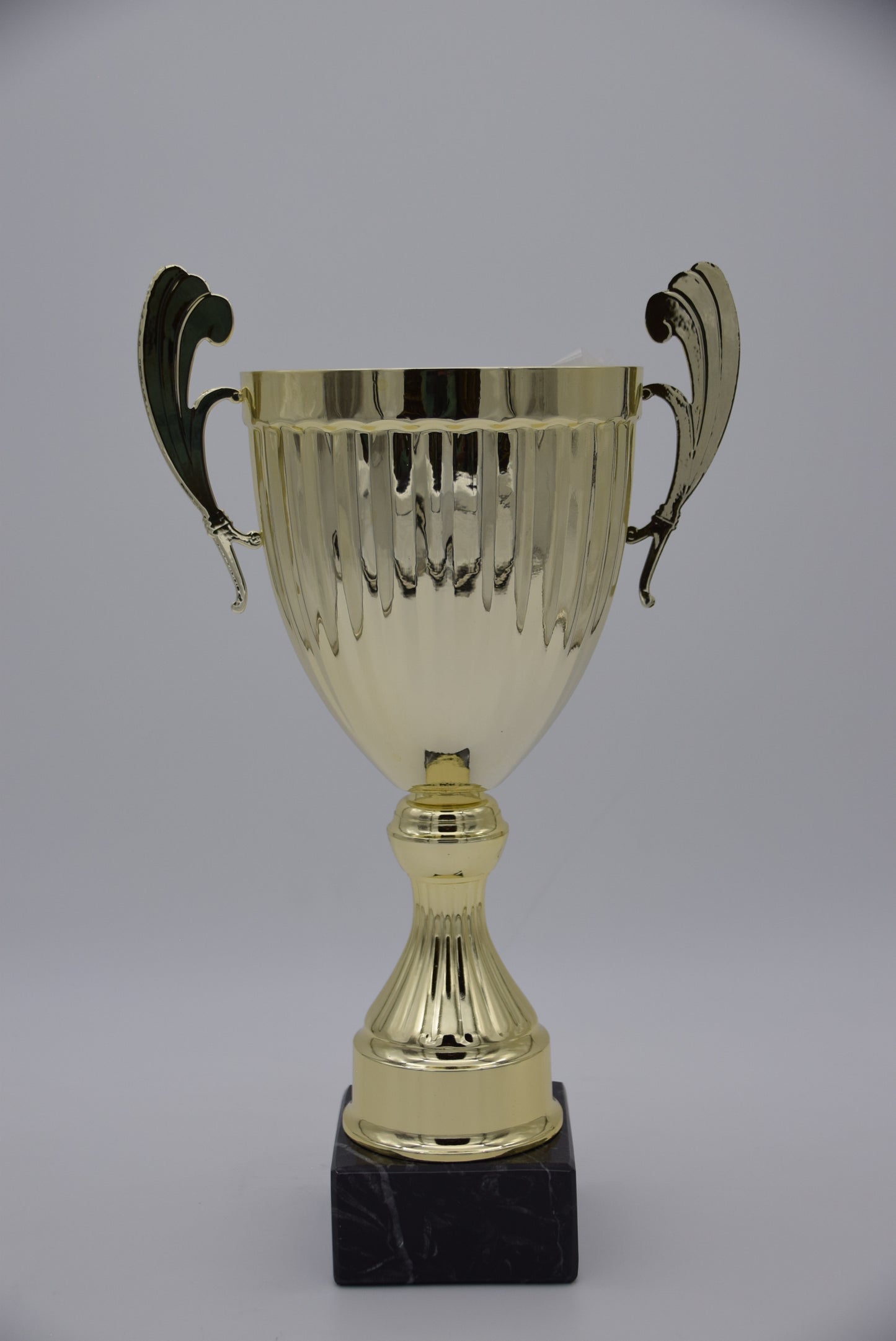 TITAN GOLD