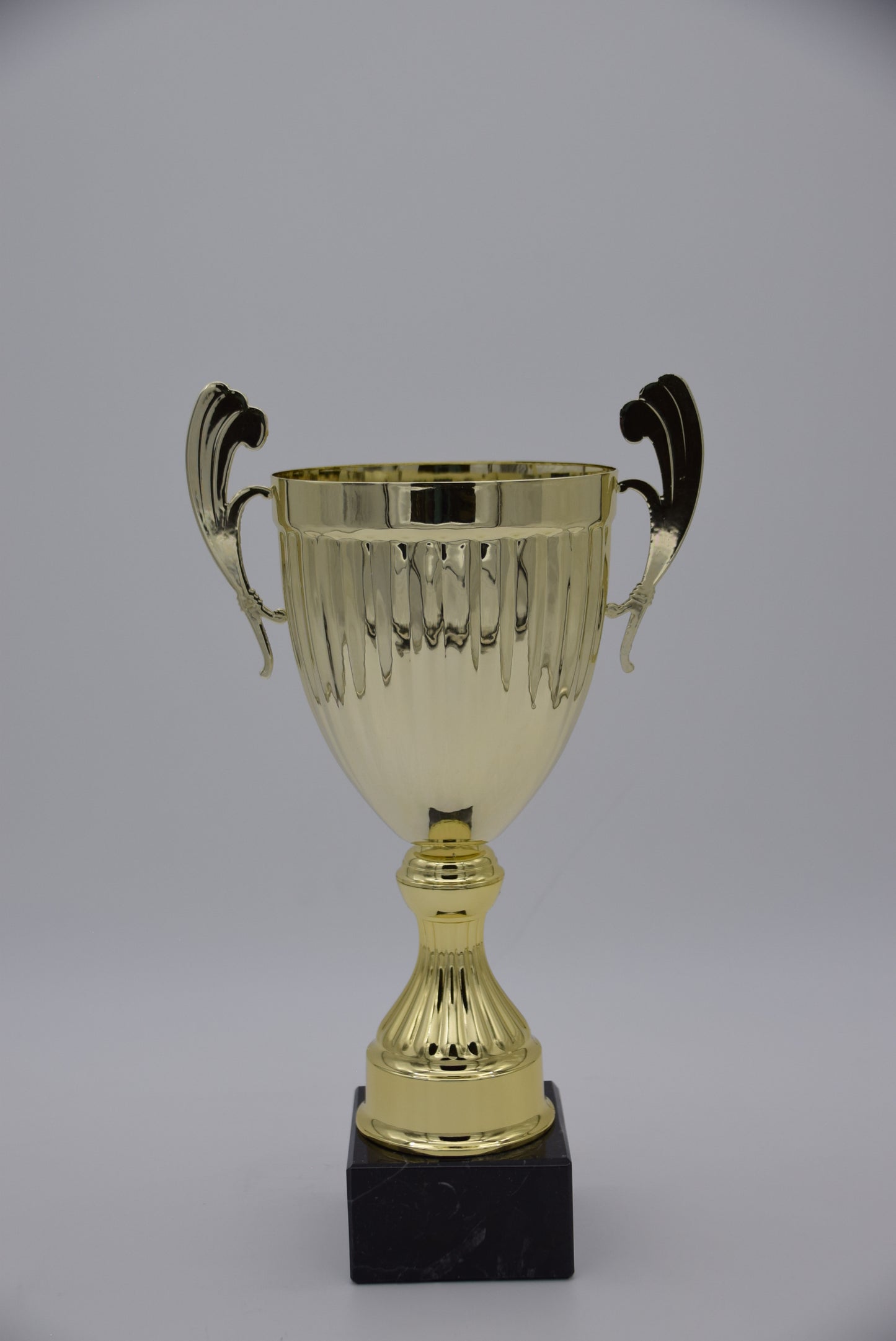 TITAN GOLD