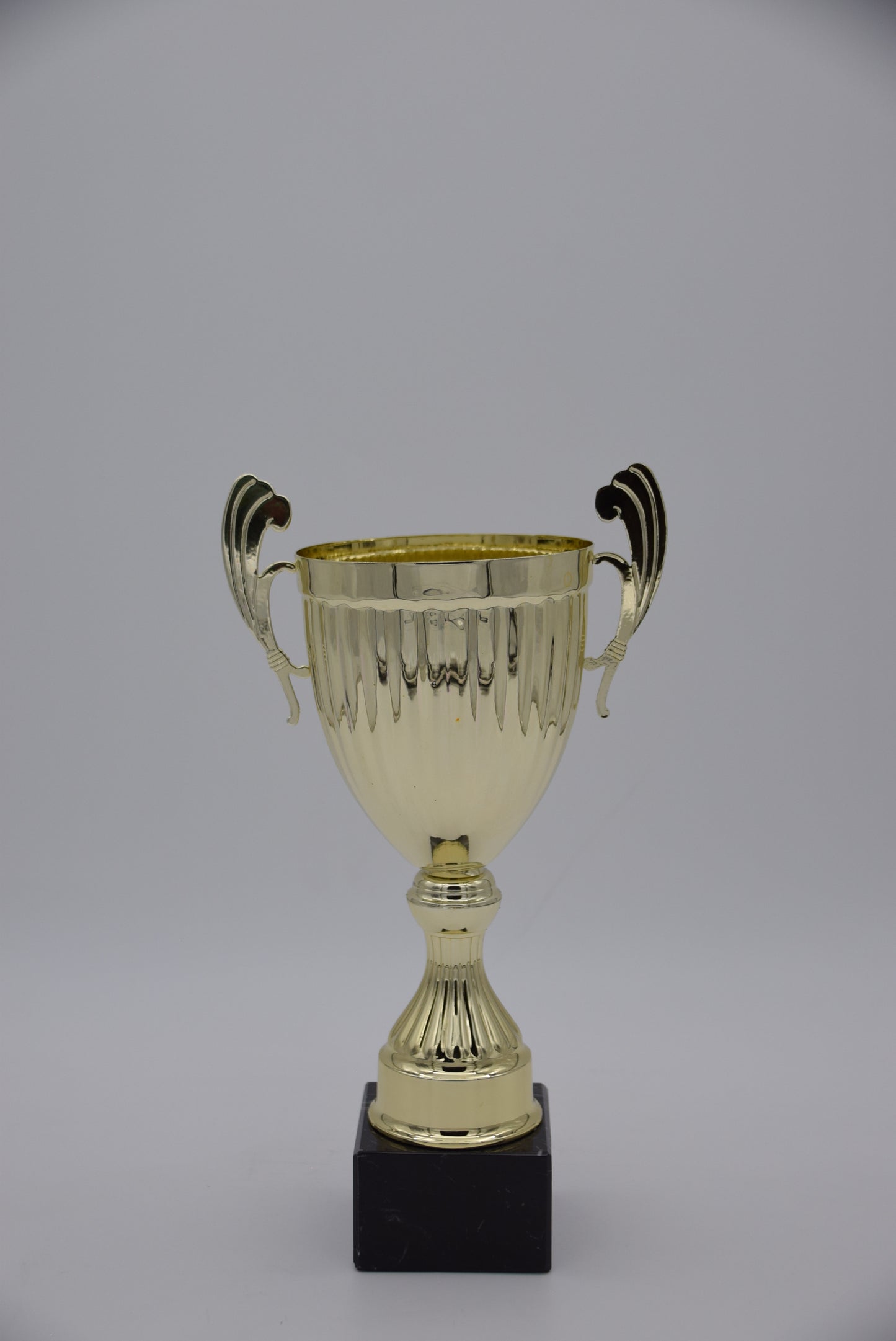 TITAN GOLD